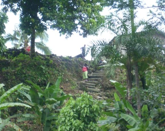 16 New Electoral Constituencies for Victims