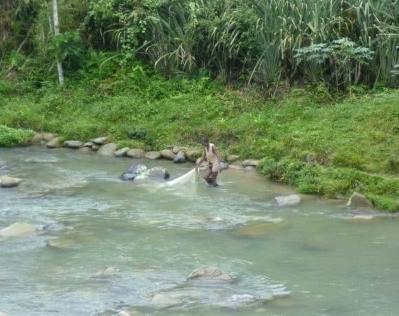 A River with Rights: Community Response to Illegal Gold Mining in Chocó, Colombia