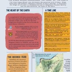 Linea Negra Decreto 1500