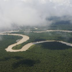 Urgent Action to protect the environment and the Paimadó community